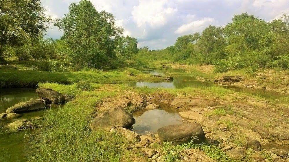 Kula Kula Luxury Camping Resort Удавалаве Екстер'єр фото