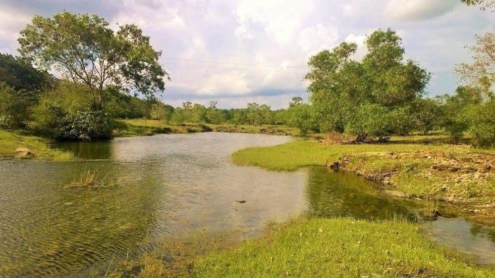 Kula Kula Luxury Camping Resort Удавалаве Екстер'єр фото