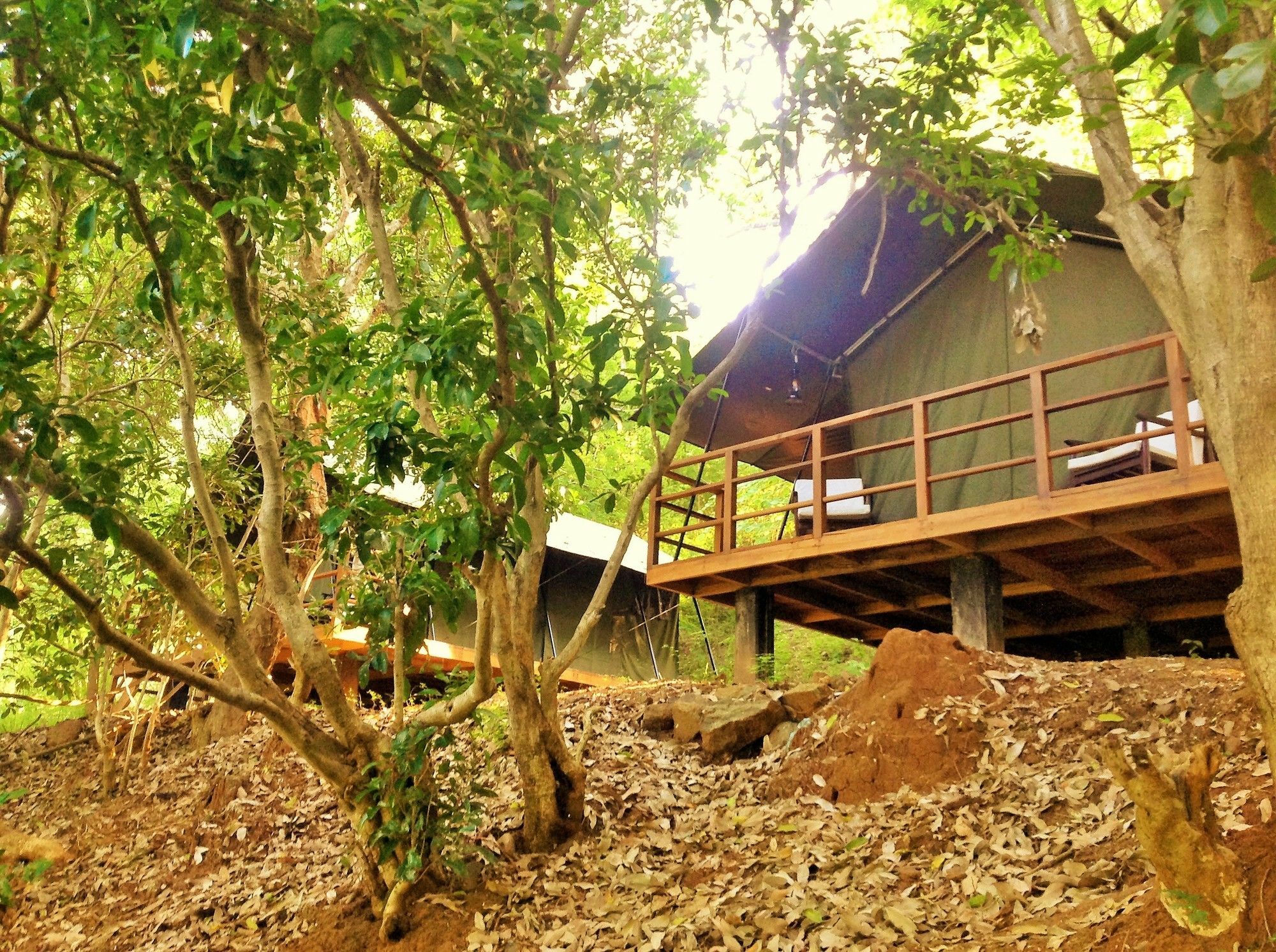 Kula Kula Luxury Camping Resort Удавалаве Екстер'єр фото